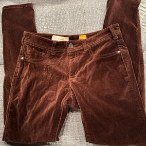 Anthropologie Pilcro And The Letterpress Velvet Pants Womens 27 Fit Serif Brown